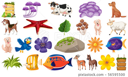 Set of different farm animals and fish 56595500