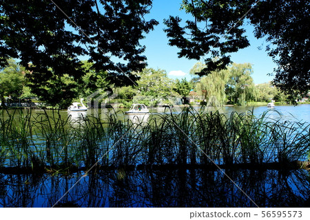 Shakujii公園 Shakujii公園 56595573