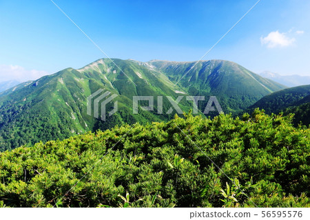 通往Kasagatake,北阿爾卑斯山的道路 通往Kasagatake,北阿爾卑斯山的道路 56595576