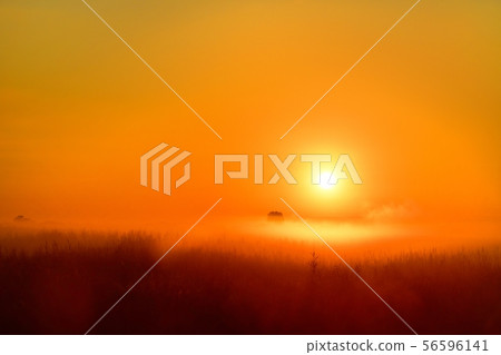 Sunrise, morning mist and sunrise on the shore of Watarase Recreation Area 56596141