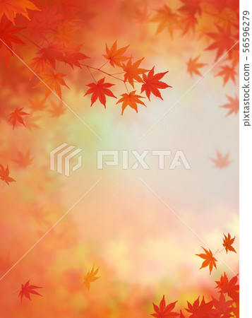 背景 - 日本 - 日本風格 - 日本模式 - 日本紙 - 秋葉 - 秋天 56596279