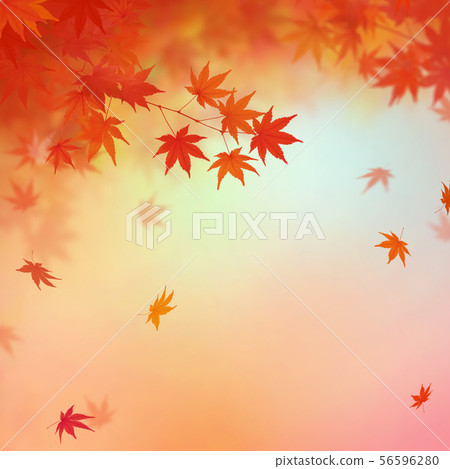 Background-Japanese-Japanese style-Japanese pattern-Japanese paper-Autumn leaves-Autumn 56596280