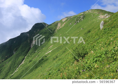 Road to Kasugatake, Northern Alps 56596367