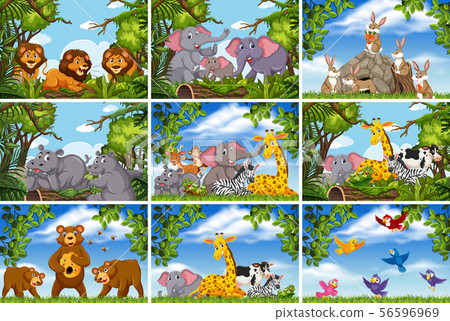 Set of various animals in nature scenes Set of various animals in nature scenes 56596969
