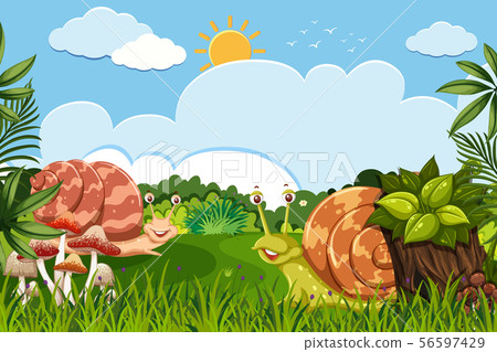 Snails in woods scene 56597429
