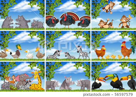 Set of various animals in nature scenes 56597579