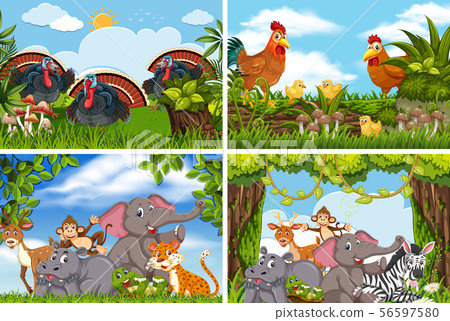 Set of various animals in nature scenes 56597580