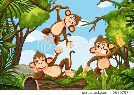 Fun monkeys in jungle scene 56597974