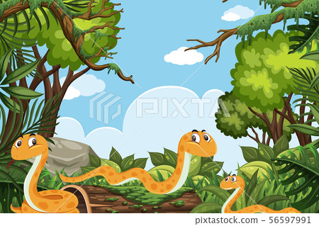 Snakes in jungle scene 56597991