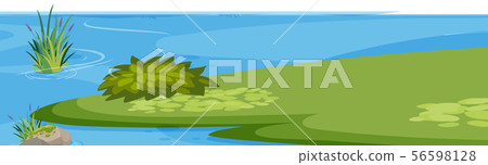 Landscape background with water and grass 56598128