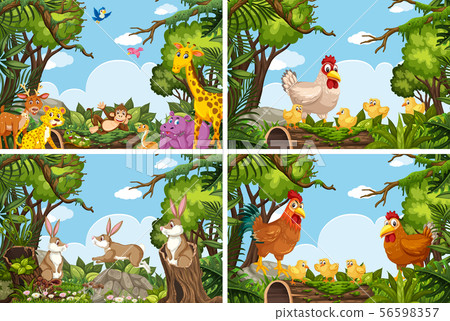 Set of various animals in nature scenes 56598357