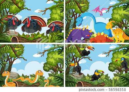 Set of various animals in nature scenes 56598358