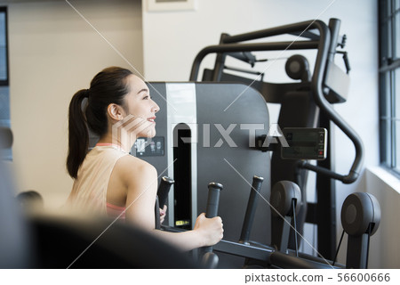 Sports gym young lady 56600666