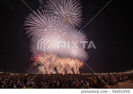 Enshu fireworks 2019 Enshu fireworks 2019 56601048
