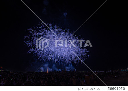 Enshu fireworks 2019 Enshu fireworks 2019 56601050