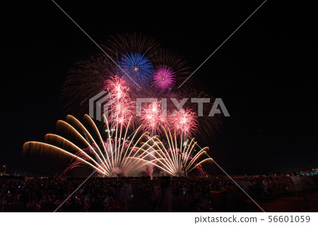 Enshu fireworks 2019 56601059