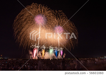 Enshu fireworks 2019 56601060