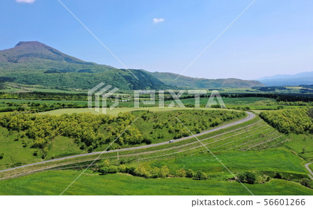 Kuju mountain range-autumn- 56601266