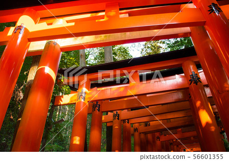Senbon Torii Senbon Torii 56601355