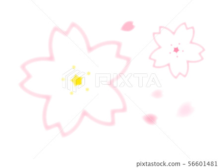 Cherry Blossoms Cherry Blossoms 56601481