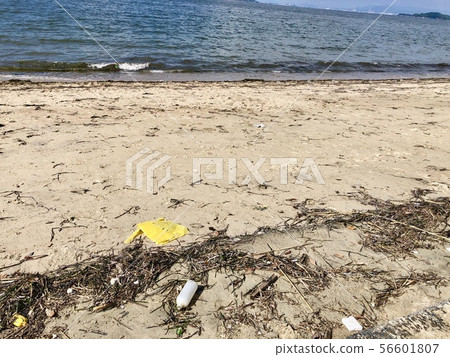 Trashy beach 56601807