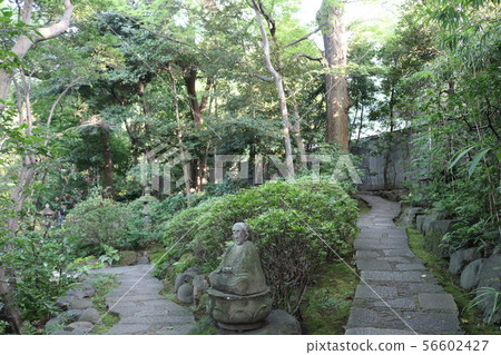 東京都港區南青山市根津博物館花園裡的胡同 56602427