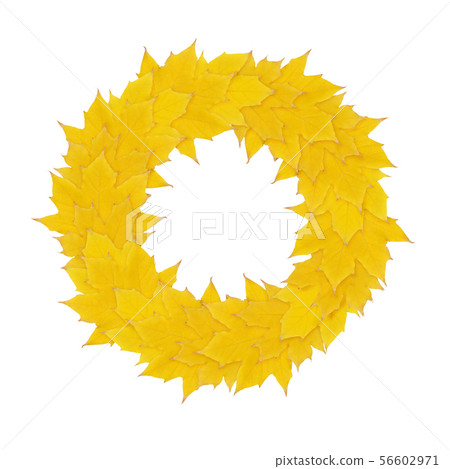 Autumn yellow wreath from maple leaves Autumn yellow wreath from maple leaves 56602971