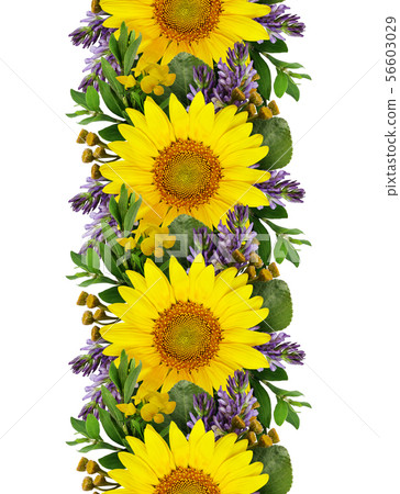 Sunflowers and wild flowers seamless garland Sunflowers and wild flowers seamless garland 56603029