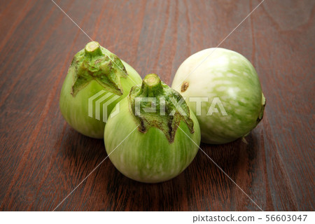 泰國茄子 56603047