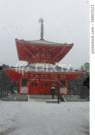 冬天的塔 冬天的塔 56603521