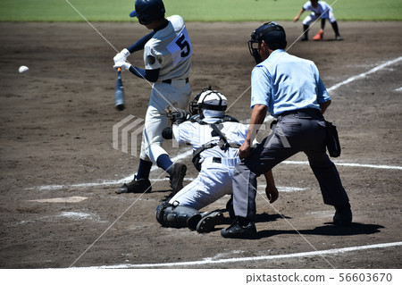 high school baseball  56603670