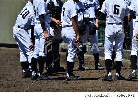 高中棒球 56603671
