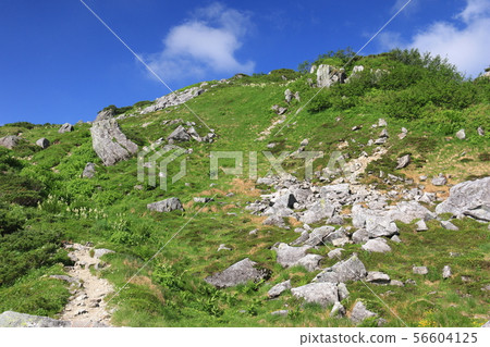 在北阿爾卑斯山的Kasugatake之路 在北阿爾卑斯山的Kasugatake之路 56604125