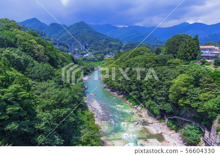 從Minakami Suwakyo Bridge的Tonegawa Suwa峽谷夏天視圖 56604330