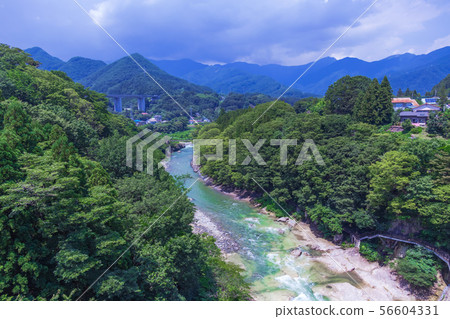 從Minakami Suwakyo Bridge的Tonegawa Suwa峽谷夏天視圖 56604331
