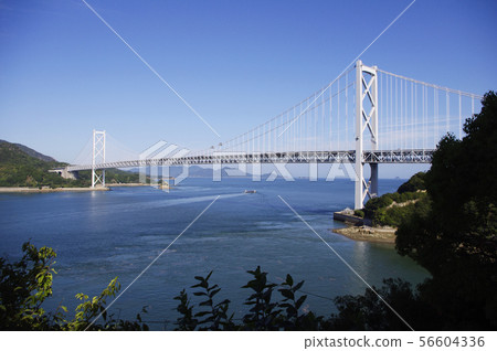 Innoshi Ohashi 56604336