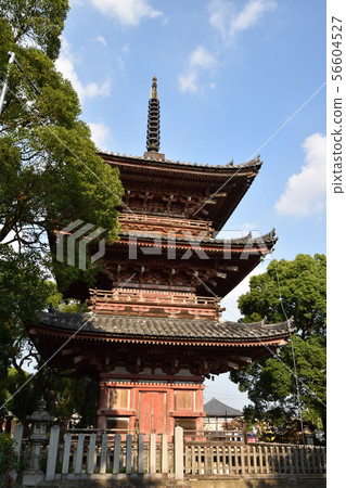 Gujimaji Kannon Gujimaji Kannon 56604527