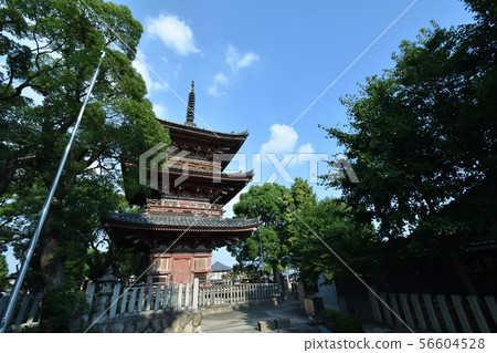 Gujimaji Kannon Gujimaji Kannon 56604528