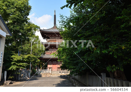 Gujimaji Kannon Gujimaji Kannon 56604534