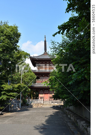 Gujimaji Kannon Gujimaji Kannon 56604535