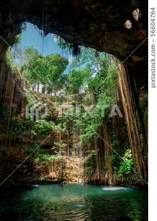 Cenote Ecoturistico Ik-Kil with blue clear water 56604764