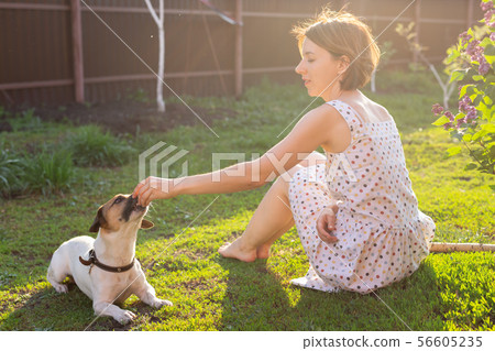 Young woman with her jack russell terrier dog playing on the grass outside 56605235