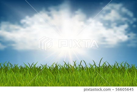 Meadow with sunlight on the blue sky Meadow with sunlight on the blue sky 56605645
