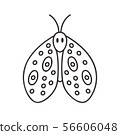 Cute hand drawn butterfly 56606048
