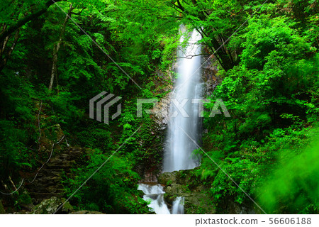 Hossawa Falls (West Tokyo, Akigawa Valley) 56606188
