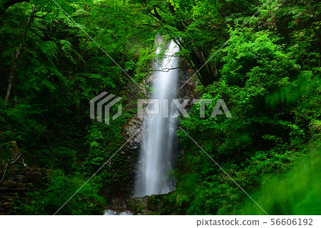 Hossawa Falls(東京西部,Akigawa山谷) Hossawa Falls(東京西部,Akigawa山谷) 56606192