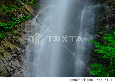Hossawa Falls(東京西部,Akigawa山谷) Hossawa Falls(東京西部,Akigawa山谷) 56606193