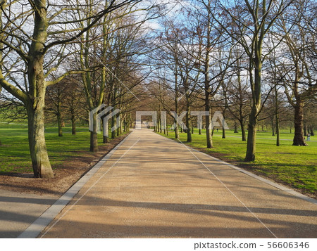 Greenwich Park Greenwich Park 56606346