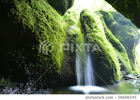 [Hyogo Prefecture New Hot Spring Town] Shiwagara Falls 56606545