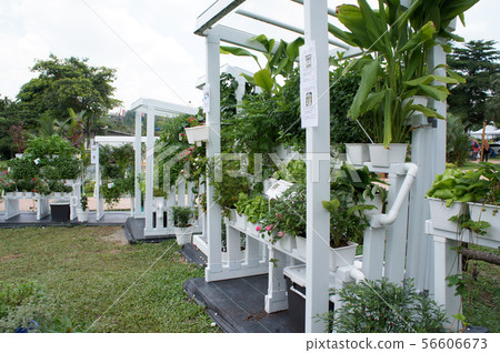 Multi-storey hydroponic method to save space used Multi-storey hydroponic method to save space used 56606673